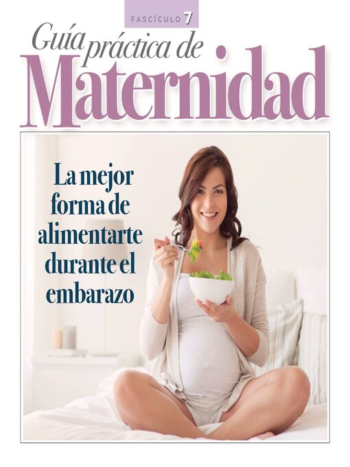 Cover image for Guía práctica de Maternidad
